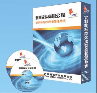 山東地區(qū)軟件開發(fā)與計算機(jī)系統(tǒng)服務(wù)全覽 非標(biāo)軟件、公眾號開發(fā)與系統(tǒng)解決方案